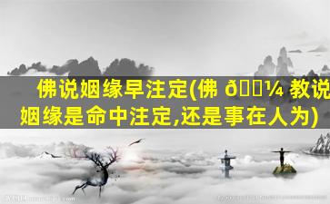 佛说姻缘早注定(佛 🐼 教说姻缘是命中注定,还是事在人为)